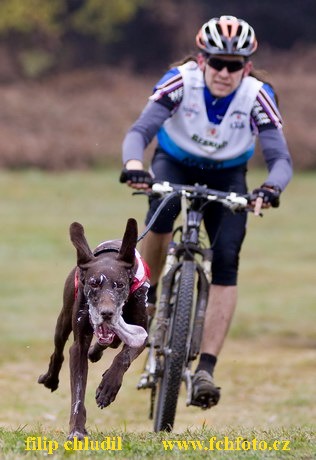 Tri studne podzim 08 - 003.jpg